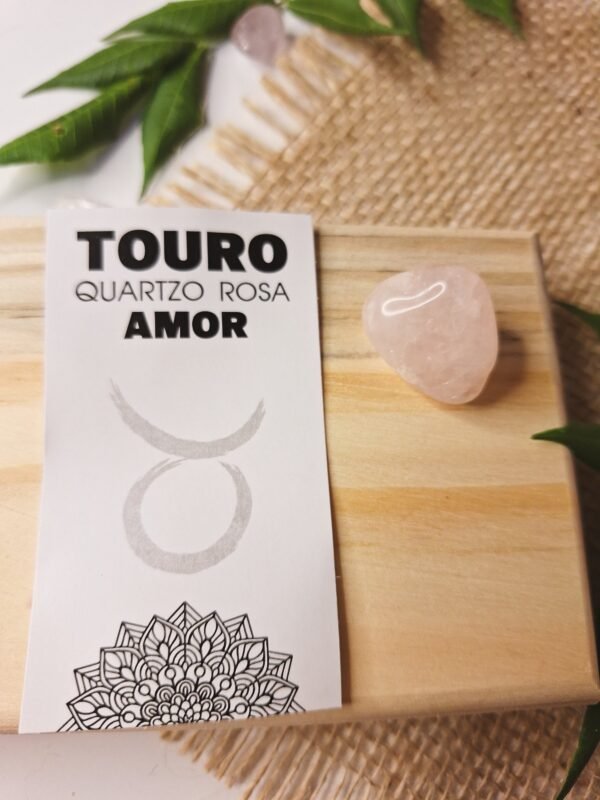 PEDRA DO SIGNO DE TOURO (amor)