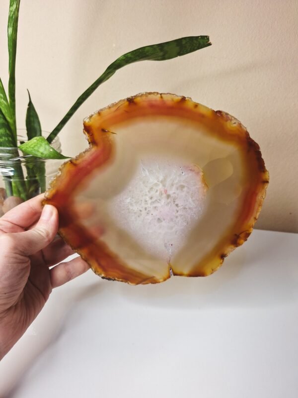 Peça Única - Base de Ágata Enerzizadora 295g