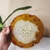 Peça Única - Base de Ágata Enerzizadora 436g