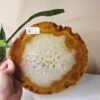Peça Única - Base de Ágata Enerzizadora 436g