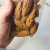 Incenso Cascata signo PEIXES (formato de flor de lótus)