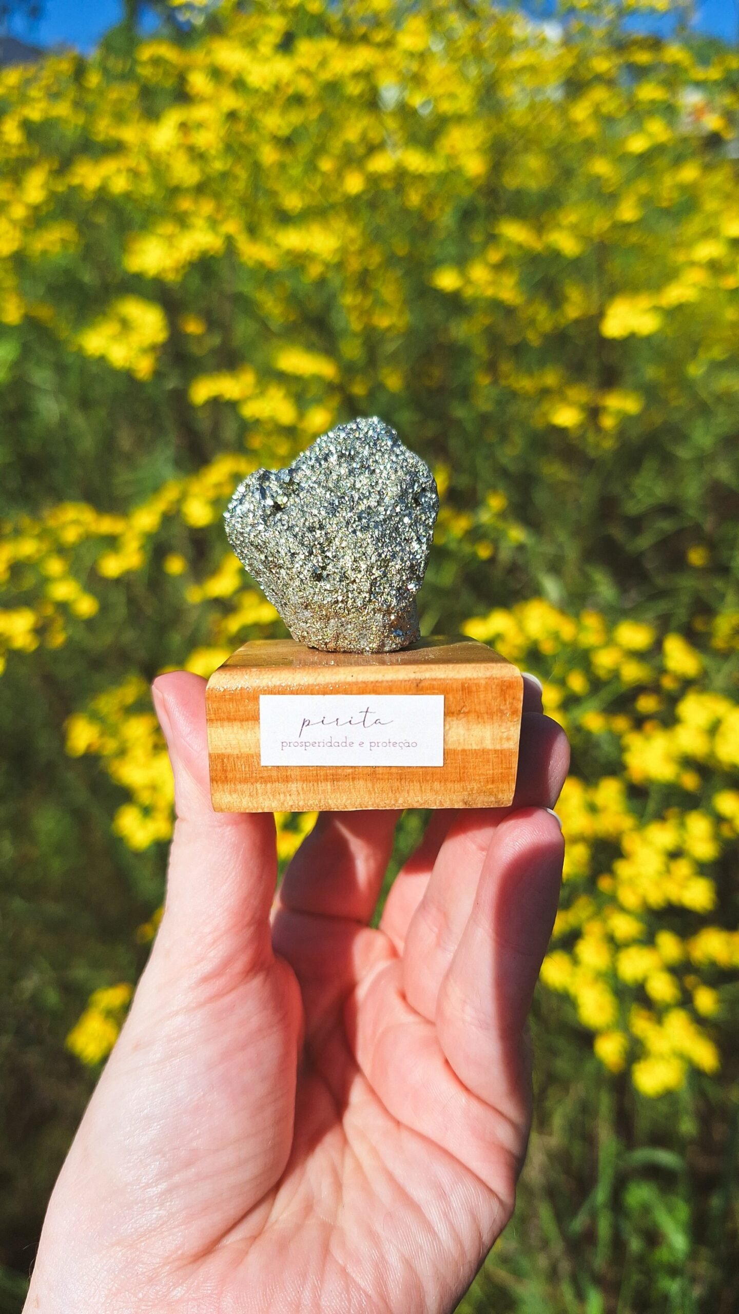 PIRITA NA BASE DE MADEIRA - ATRAIA PROSPERIDADE E ABUNDÂNCIA 100g a 130g