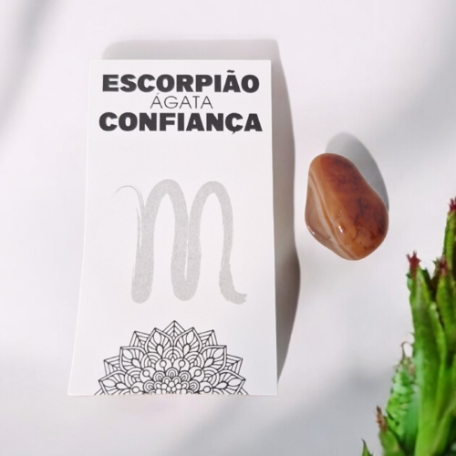 2025/02/1000308686.png PEDRA DO SIGNO DE ESCORPIÃO – (CONFIANÇA) ✨