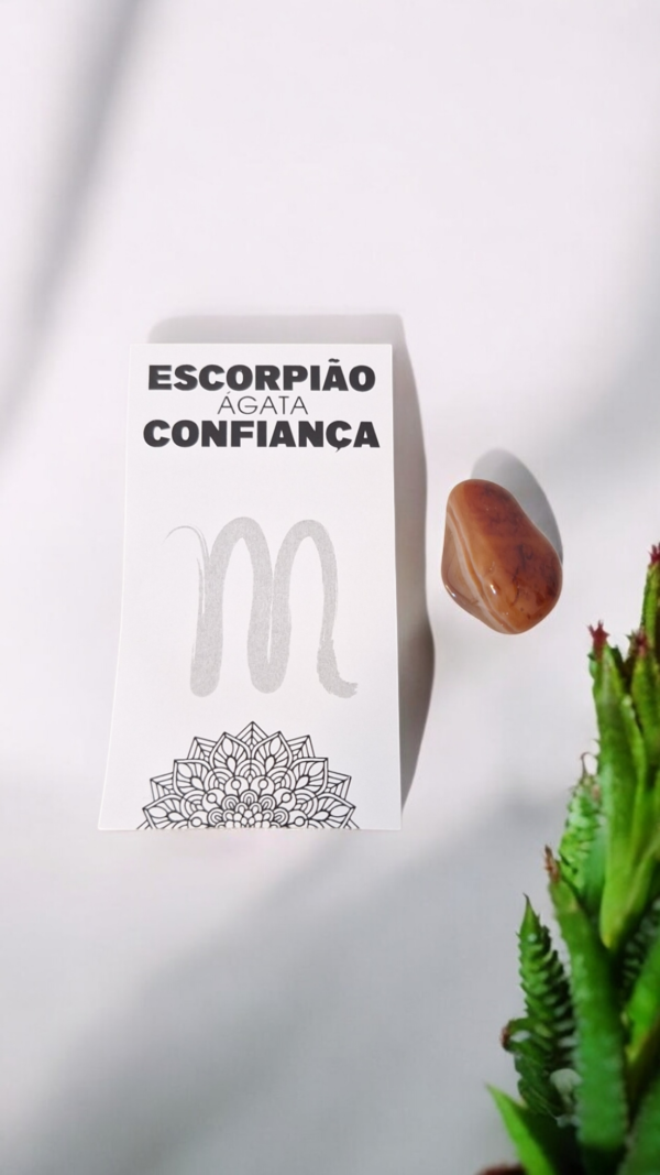 PEDRA DO SIGNO DE ESCORPIÃO – (CONFIANÇA) ✨