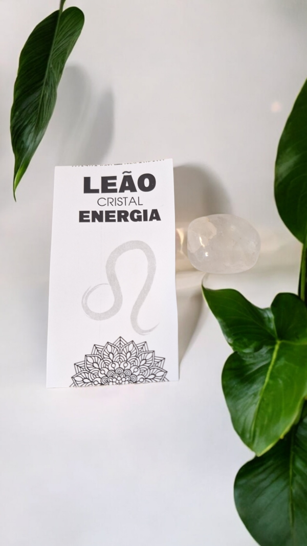PEDRA DO SIGNO DE LEÃO – (ENERGIA)✨