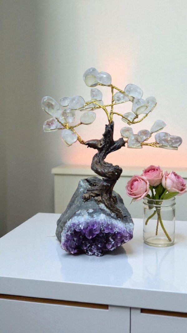 2025/11/1000262768.jpg Pedra de Cristal com Base em Drusa– Clareza, Luz e Expansão da Consciência