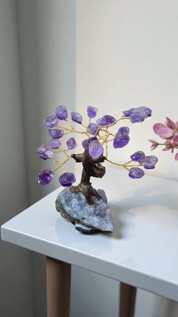 2025/11/1000262771.jpg Árvore de Ametista pedra bruta com Base em Drusa – Elevação, Intuição e Proteção Espiritual