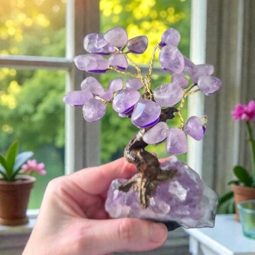 2025/11/1000315012.jpg Bonsai Árvore de Ametista pedra bruta com Base em Drusa – Elevação, Intuição e Proteção Espiritual