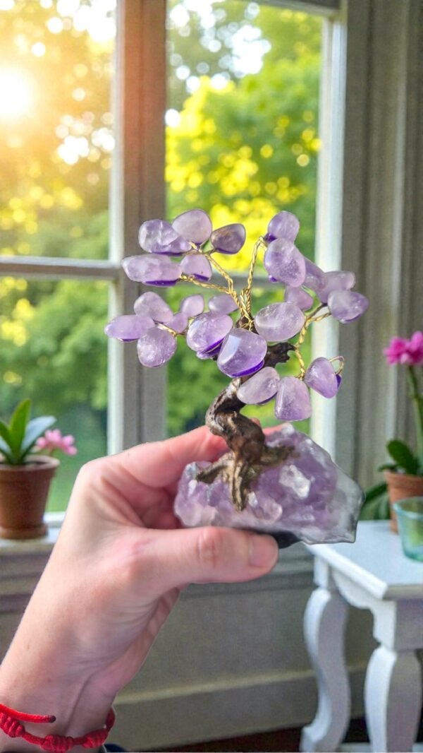 2025/11/1000315012.jpg Bonsai Árvore de Ametista pedra bruta com Base em Drusa – Elevação, Intuição e Proteção Espiritual