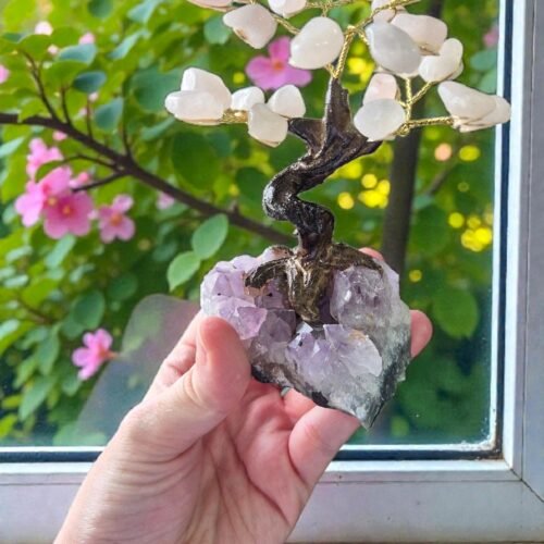 2026/01/1000315005.jpg Bonsai Árvore de Quartzo Rosa Claro na Drusa de Ametista – Amor, Acolhimento e Cura Emocional