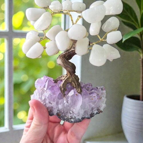 2026/01/1000315006.jpg Bonsai Árvore de Quartzo Branco na Drusa de Ametista – Paz, Purificação e Harmonia Espiritual