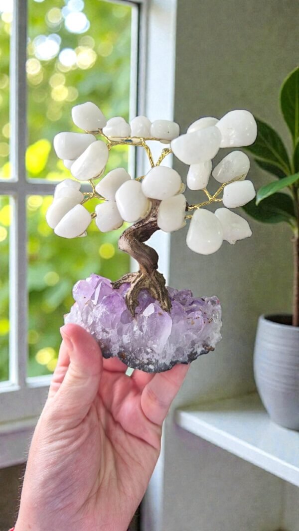 2026/01/1000315006.jpg Bonsai Árvore de Quartzo Branco na Drusa de Ametista – Paz, Purificação e Harmonia Espiritual