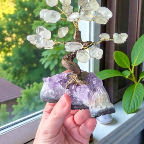 2026/01/1000315007.jpg Bonsai Árvore de Cristal (Quartzo Transparente) na Drusa de Ametista – Clareza, Amplificação Energética e Elevação Espiritual