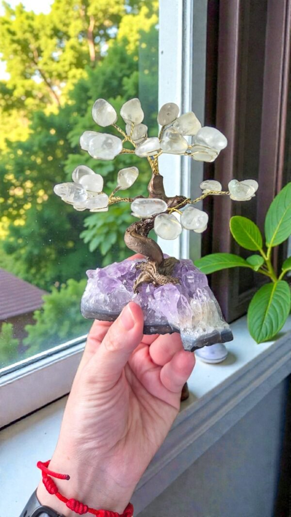 2026/01/1000315007.jpg Bonsai Árvore de Cristal (Quartzo Transparente) na Drusa de Ametista – Clareza, Amplificação Energética e Elevação Espiritual