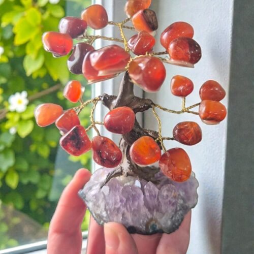 Bonsai Árvore de Coralina na Drusa de Ametista – Vitalidade, Criatividade e Energia em Movimento