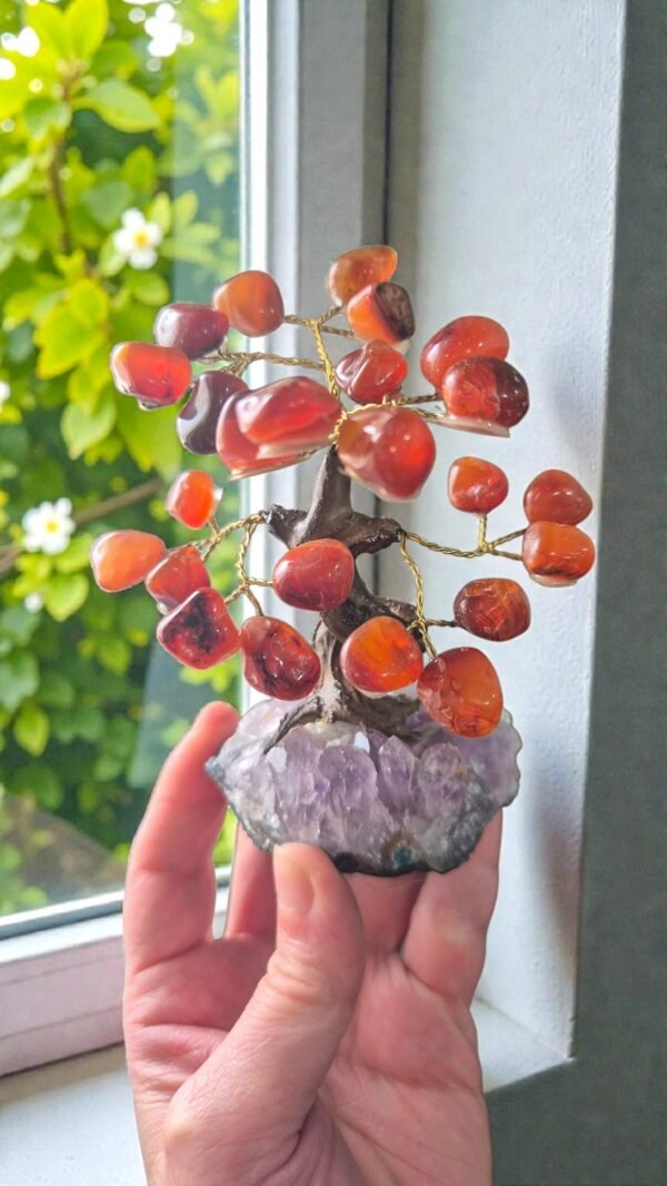 Bonsai Árvore de Coralina na Drusa de Ametista – Vitalidade, Criatividade e Energia em Movimento